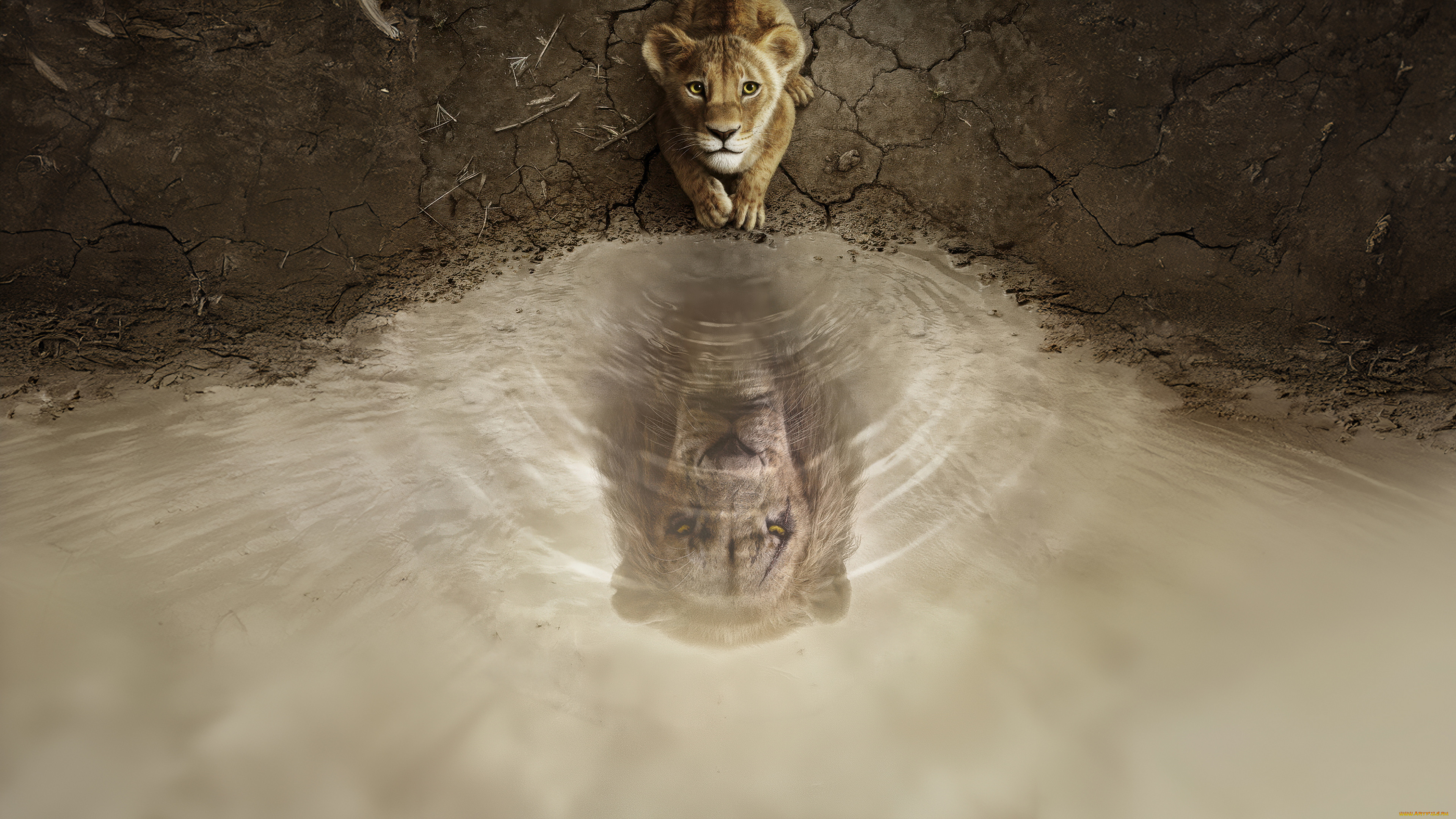 mufasa,  the lion king ,  2024 ,  ,  the lion king, , , , , , oe